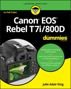 canon-eos-rebel-t7i800d-for-dummies