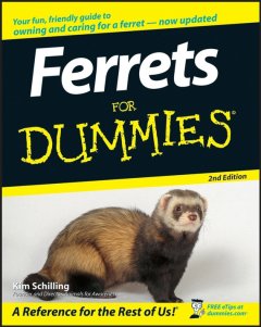 ferrets-for-dummies