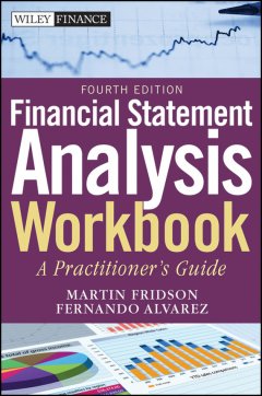 financial-statement-analysis-workbook-a