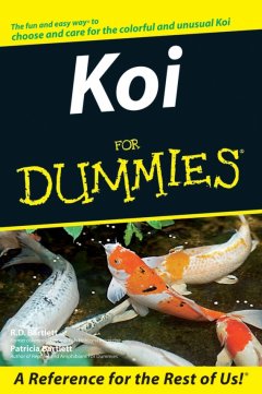koi-for-dummies