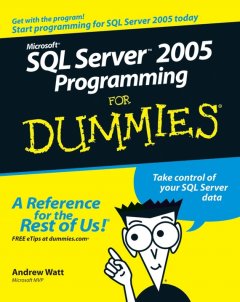 microsoft-sql-server-2005-programming-for-dummies