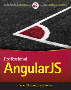 professional-angularjs