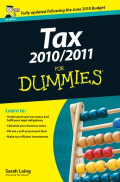 tax-2010-2011-for-dummies