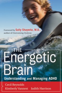 the-energetic-brain-understanding-and-managing