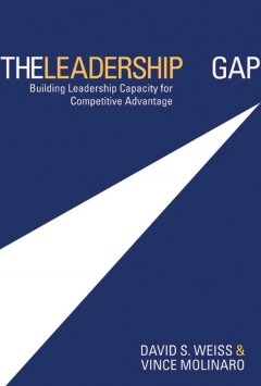 the-leadership-gap-building-leadership-capacity