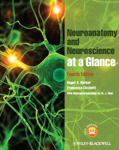 neuroanatomy-and-neuroscience-at-a-glance