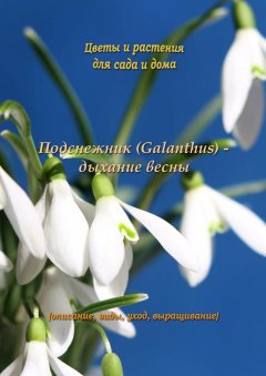 -galanthus-