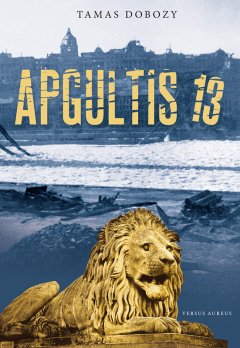 apgultis-13