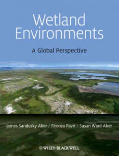 wetland-environments-a-global-perspective