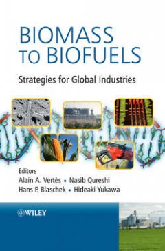 biomass-to-biofuels-strategies-for-global