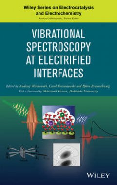 vibrational-spectroscopy-at-electrified-interfaces