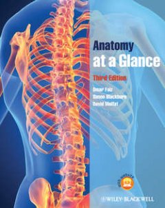 anatomy-at-a-glance