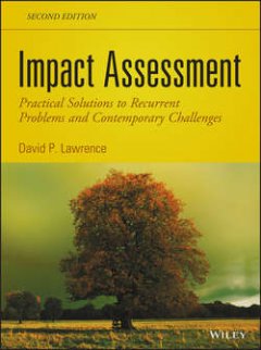 impact-assessment-practical-solutions-to