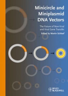 minicircle-and-miniplasmid-dna-vectors-the-future