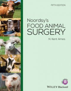 noordsys-food-animal-surgery