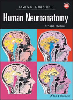 human-neuroanatomy