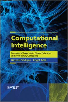 computational-intelligence-synergies-of-fuzzy