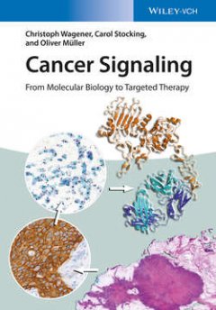 cancer-signaling-enhanced-edition-from-molecular