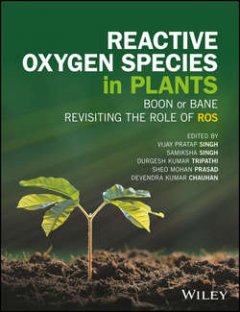 reactive-oxygen-species-in-plants-boon-or-bane