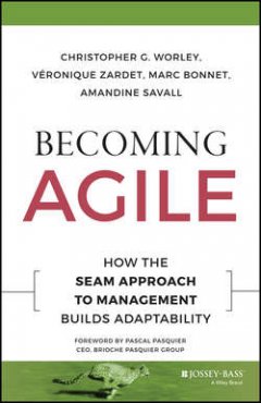 becoming-agile-how-the-seam-approach-to