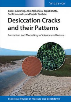 desiccation-cracks-and-their-patterns-formation