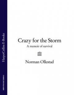 crazy-for-the-storm-a-memoir-of-survival