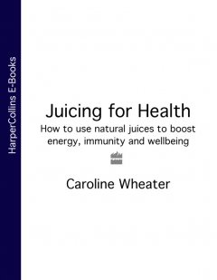 juicing-for-health-how-to-use-natural-juices-to