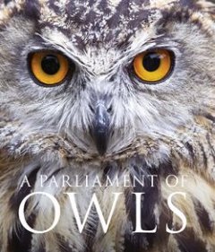 a-parliament-of-owls