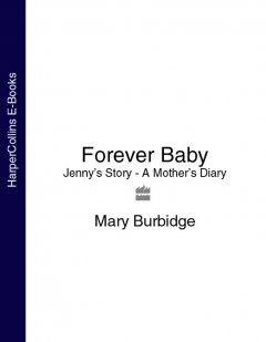 forever-baby-jennys-story-a-mothers-diary