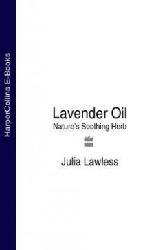 lavender-oil-natures-soothing-herb