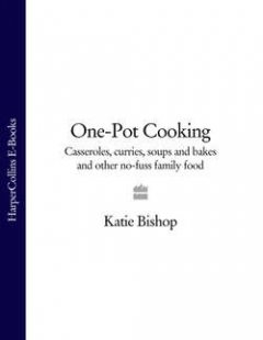 one-pot-cooking-casseroles-curries-soups-and