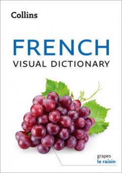 collins-french-visual-dictionary
