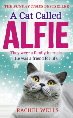 a-cat-called-alfie