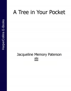 a-tree-in-your-pocket