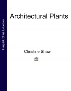 architectural-plants