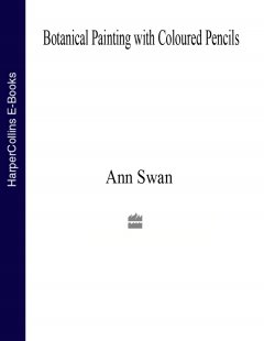 botanical-painting-with-coloured-pencils