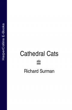 cathedral-cats