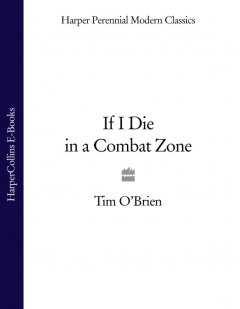 if-i-die-in-a-combat-zone