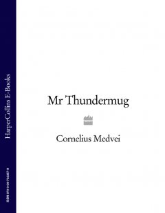 mr-thundermug