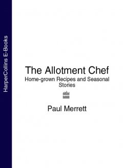 the-allotment-chef-home-grown-recipes-and