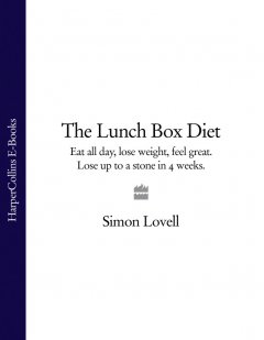 the-lunch-box-diet-eat-all-day-lose-weight-feel