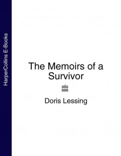 the-memoirs-of-a-survivor