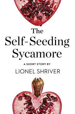 the-self-seeding-sycamore-a-short-story-from-the