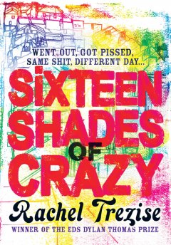 sixteen-shades-of-crazy
