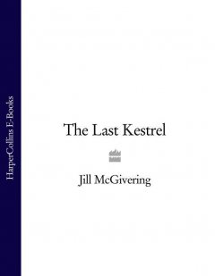 the-last-kestrel
