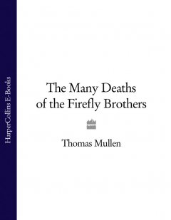 the-many-deaths-of-the-firefly-brothers