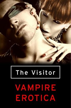 the-visitor-vampire-erotica