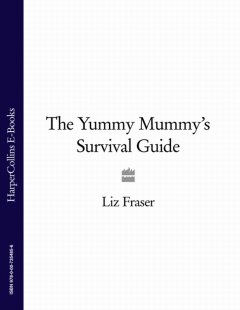 the-yummy-mummys-survival-guide