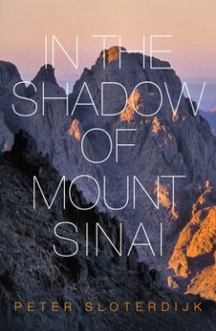 in-the-shadow-of-mount-sinai