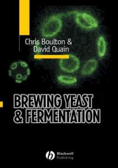 brewing-yeast-and-fermentation